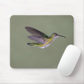 Jacobin Florisuga melivora Costa Mousepad (Mit Mouse)