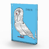 Jacobin-Taube-Cartoon Fotoblock (Rechts)