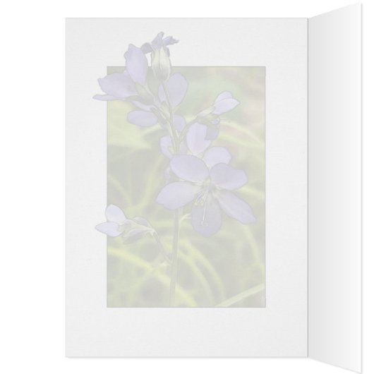Jacob's Ladder - 5" x 7" Art Card (Innen (Links))