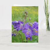 Jacob's Ladder Card Karte (Rückseite)