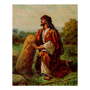 Jacobs Vision and Gods Promise Poster