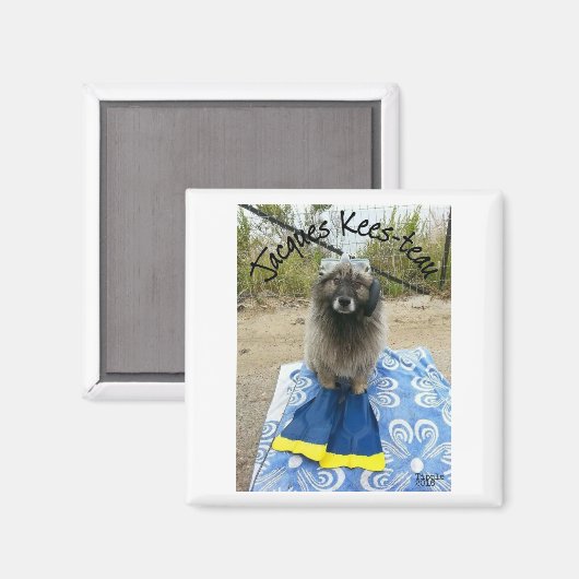 Jacques Kees-teau Magnet (Vorderseite/Rückseite)