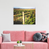 Jacuzzi Weinwanderwege Mendrisiotto Leinwanddruck (Insitu (Wohnzimmer))