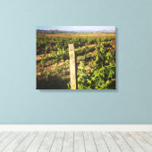 Jacuzzi Weinwanderwege Mendrisiotto Leinwanddruck (Insitu (Holzboden))