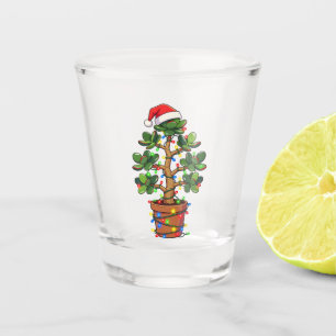 Jade-Pflanze eingewickelt in Weihnachtslichter Gar Schnapsglas