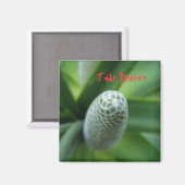 Jade Pleasure Magnet (Vorderseite/Rückseite)