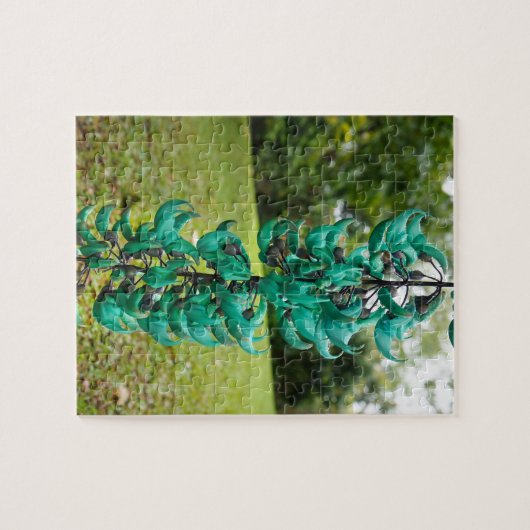 Jade-Rebe, botanischer Garten, Maui, Hawaii, USA Puzzle (Horizontal)