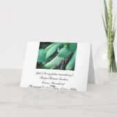 Jade-Traumgruß-Karte Karte (Rückseite)