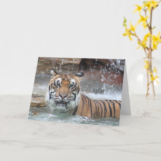 Jafar Karte (Gelbe Blume)