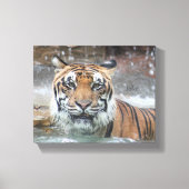 Jafar Leinwanddruck (Vorderseite)