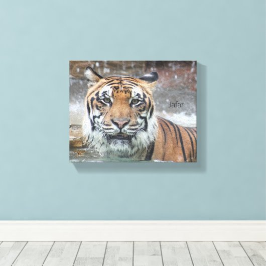 Jafar Leinwanddruck (Insitu (Holzboden))