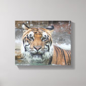 Jafar Leinwanddruck (Vorderseite)