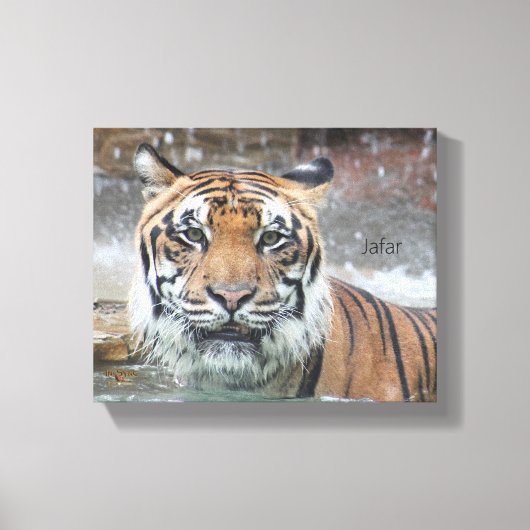 Jafar Leinwanddruck (Vorderseite)
