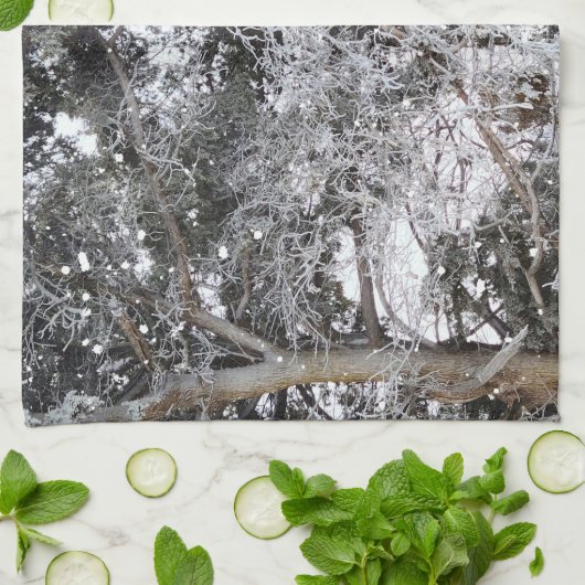 Jagd auf Camouflage-Schneepulver 4 Geschirrtuch (Gefaltet)