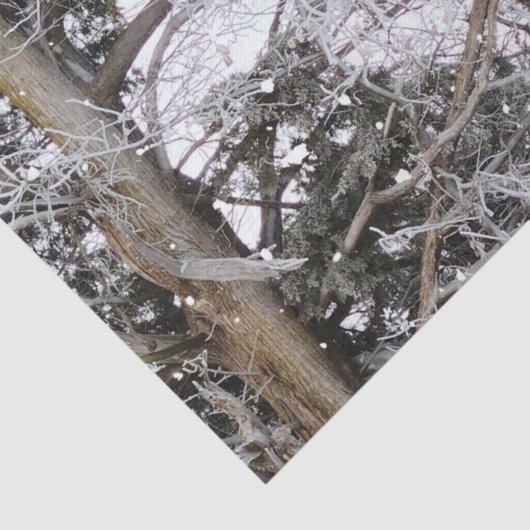 Jagd auf Camouflage-Schneepulver 4 Seidenpapier (Detail)