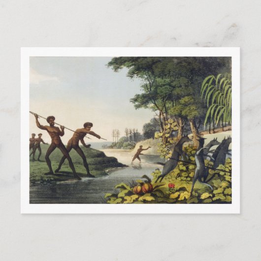 Jagd auf Kangaroo, Aborigines in New South Wale Postkarte (Vorderseite)