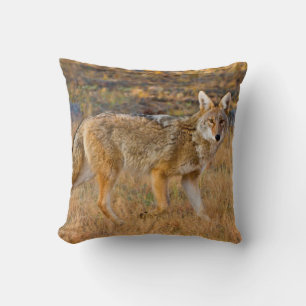 Jagd auf Kojoten (Canis Latrans) Kissen