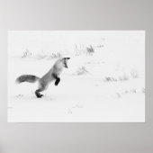 Jagd auf Schwarz-Weiß-Fox Poster (Vorne)