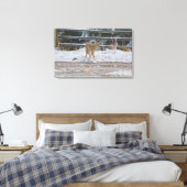 Jagd auf weibliche Coyote und Schneewild Foto 5 Leinwanddruck (Insitu (Schlafzimmer))