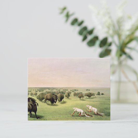 Jagd Buffalo Camouflaged Postkarte (Stehend Vorderseite)