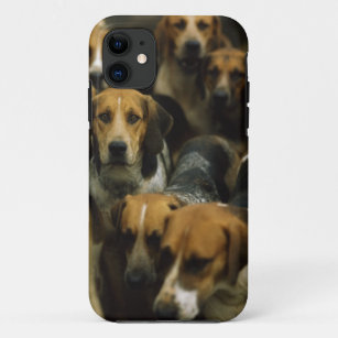 Jagd Foxhounds, Galway-Blazer, Irland Case-Mate iPhone Hülle