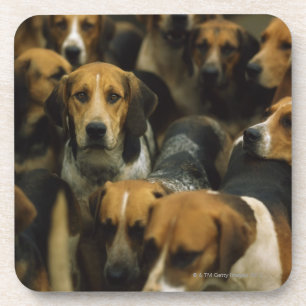 Jagd Foxhounds, Galway-Blazer, Irland Getränkeuntersetzer