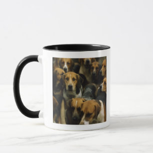 Jagd Foxhounds, Galway-Blazer, Irland Tasse