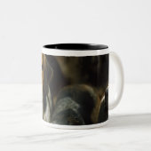 Jagd Foxhounds, Galway-Blazer, Irland Zweifarbige Tasse (VorderseiteRechts)