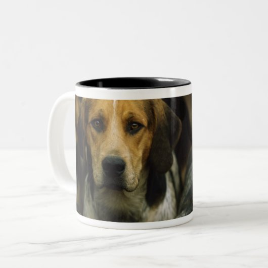 Jagd Foxhounds, Galway-Blazer, Irland Zweifarbige Tasse (Vorderseite Links)