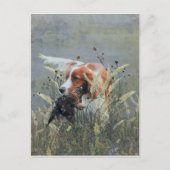 Jagd mit Epagneul Breton Feiertagspostkarte (Vorderseite)