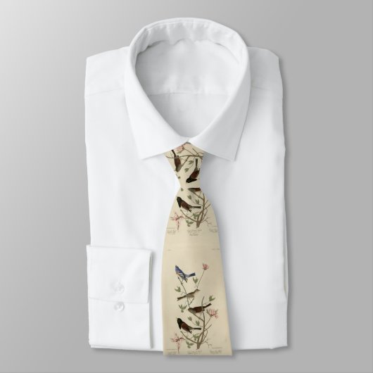 Jagd, Sparrow, Junco, (Finches) Audubons Vögel Krawatte (Gebunden)