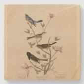 Jagd, Sparrow, Junco, (Finches) Audubons Vögel Steinuntersetzer (Vorderseite)