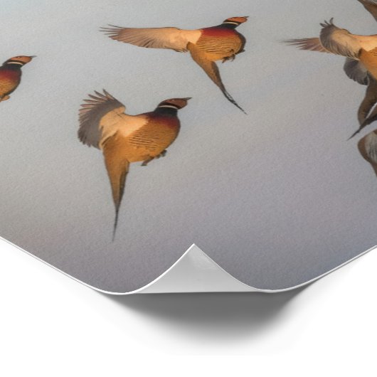 Jagdanfänger Bounty Jäger Poster (Ecke)