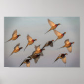 Jagdanfänger Bounty Jäger Poster (Vorne)