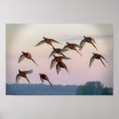 Jagdanfänger Bounty Jäger Poster (Vorne)