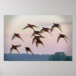 Jagdanfänger Bounty Jäger Poster