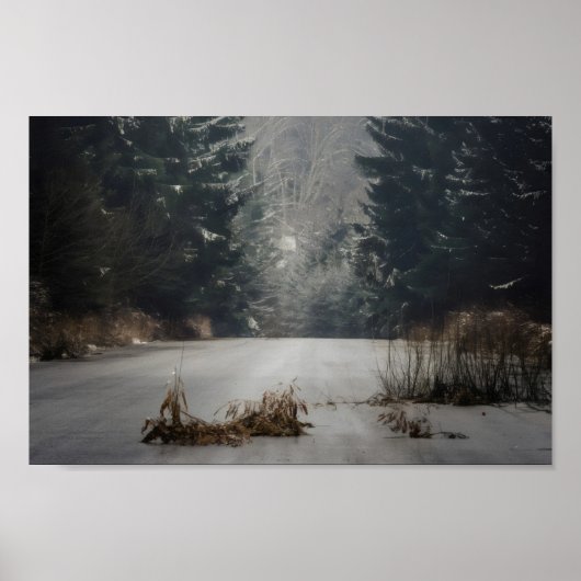 Jagdanfänger Bounty Jäger Poster (Vorne)