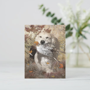 Jagdfasan, Plexiglas-Plakat, Acryldruck Postkarte