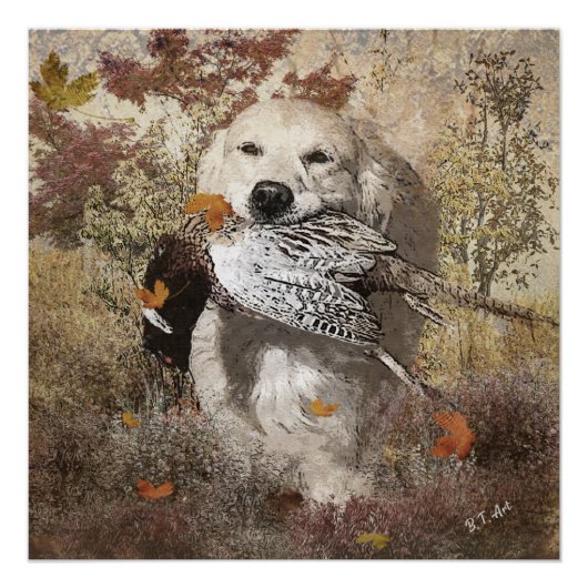 Jagdfasan, Tapisserie Poster (Vorderseite)