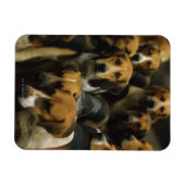 Jagdfoxhounds, Galway Blazers, Irland Magnet (Horizontal)