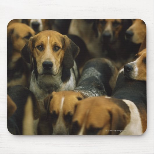 Jagdfoxhounds, Galway Blazers, Irland Mousepad (Vorne)