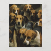 Jagdfoxhounds, Galway Blazers, Irland Postkarte (Vorderseite)