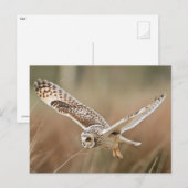 Jagdhuhn Postkarte (Vorne/Hinten)