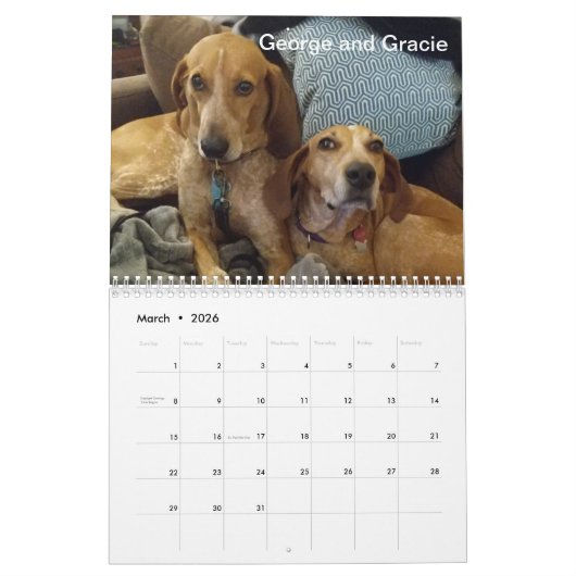 Jagdhund-Bezirk 2019/2020 Kalender (Mär 2026)