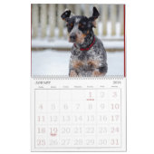 Jagdhund-Bezirks-18-monatiger Kalender (Jan 2026)