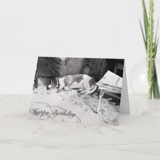 Jagdhund Karte (Vorderseite)