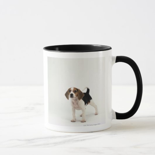 Jagdhund Tasse (Rechts)