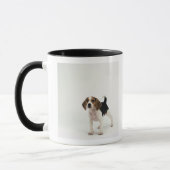 Jagdhund Tasse (Links)