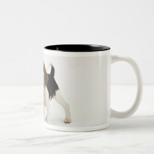 Jagdhund Zweifarbige Tasse