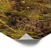 Jagdhunde in Feuchtgebietspopster Poster (Ecke)